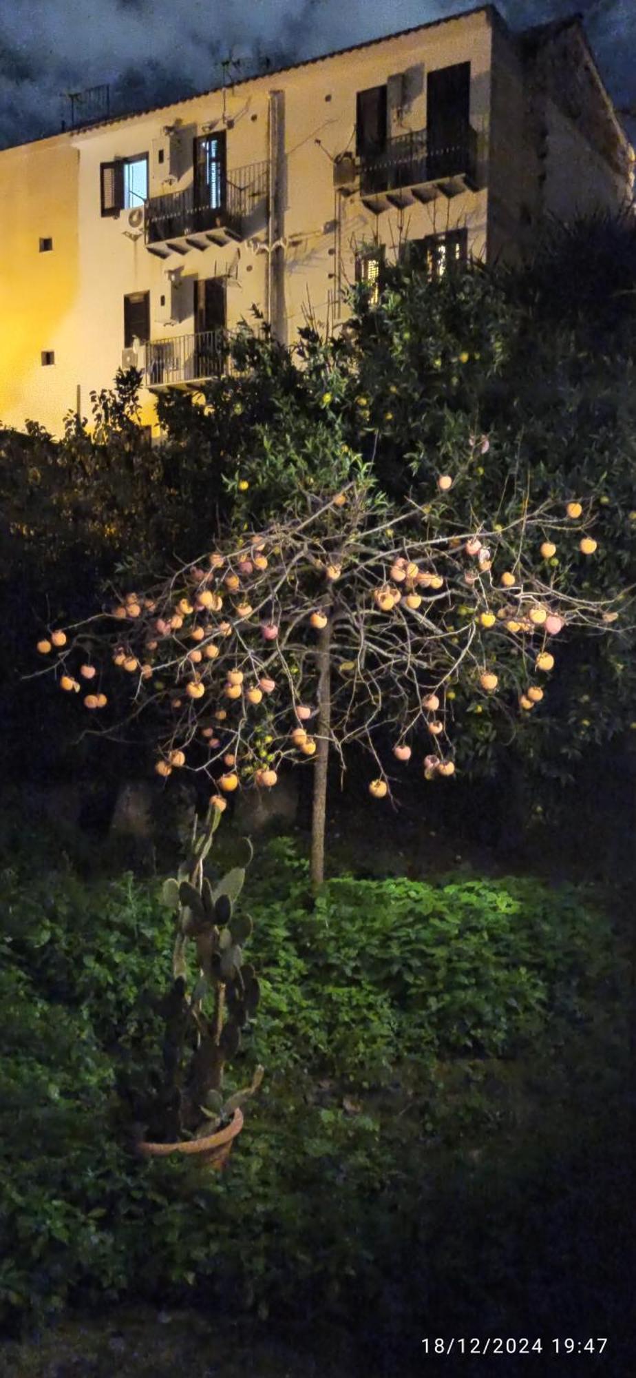 Jujube Hortus Apartment 4 Palermo Exterior foto